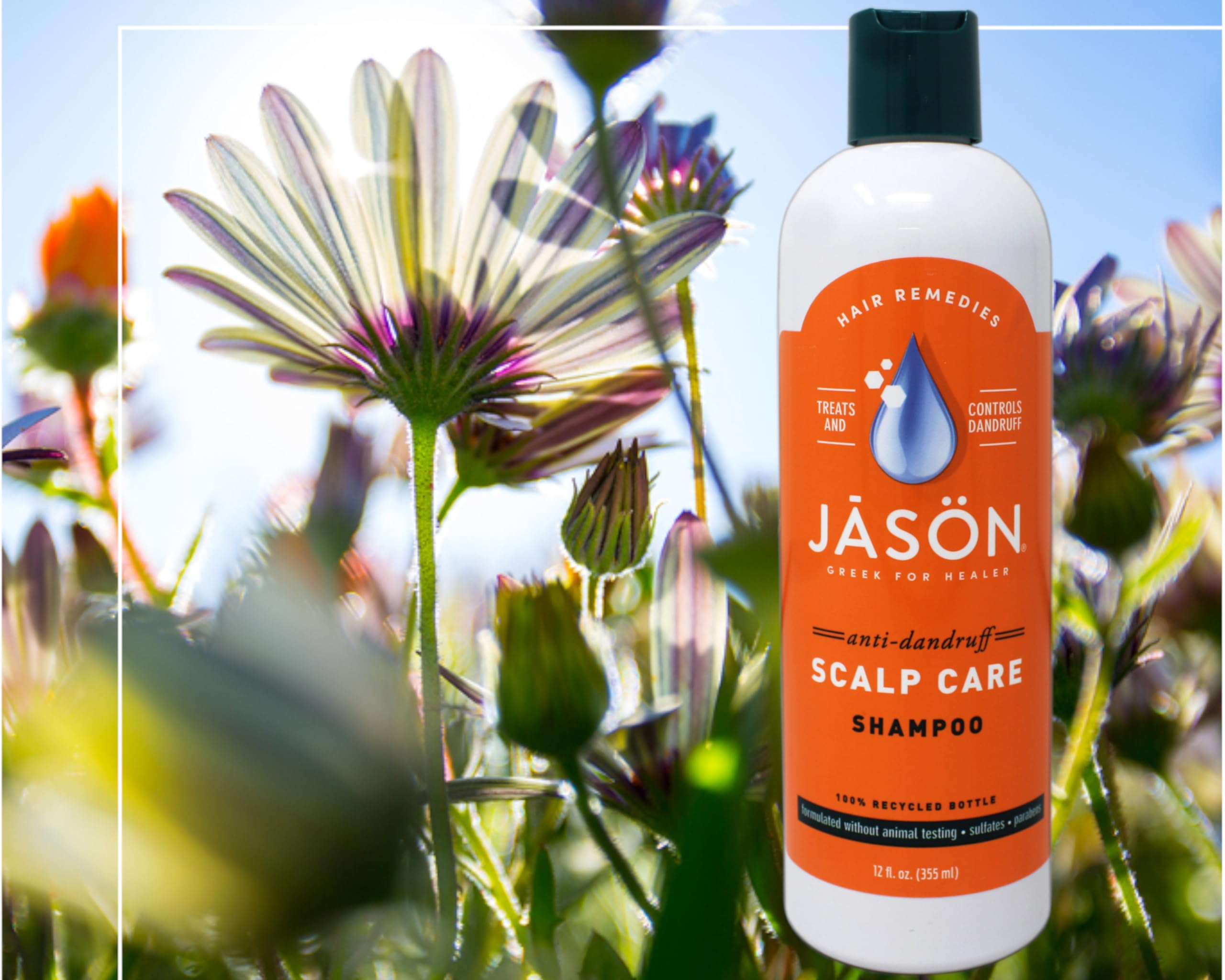Amazon.com : Jason Scalp Care Dandruff Relief Treatment Shampoo